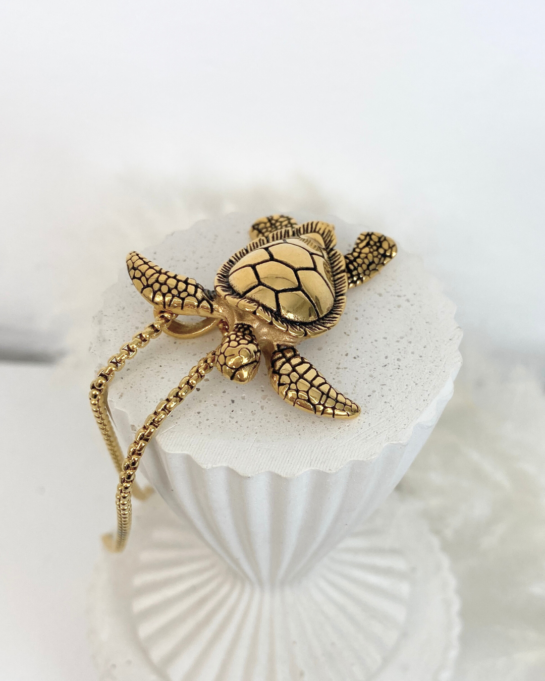 Tortuga Collar
