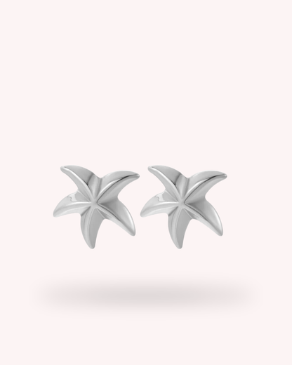 Aretes Starfish