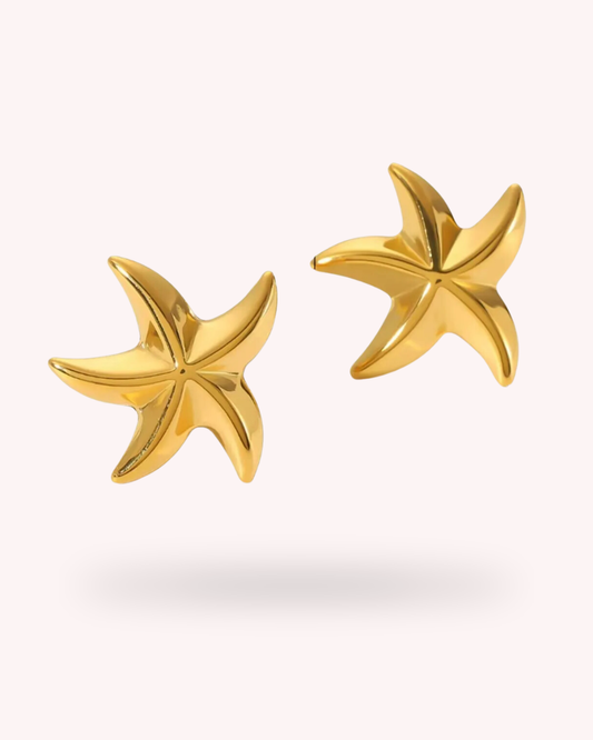 Aretes Starfish