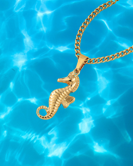 Seahorse Collar