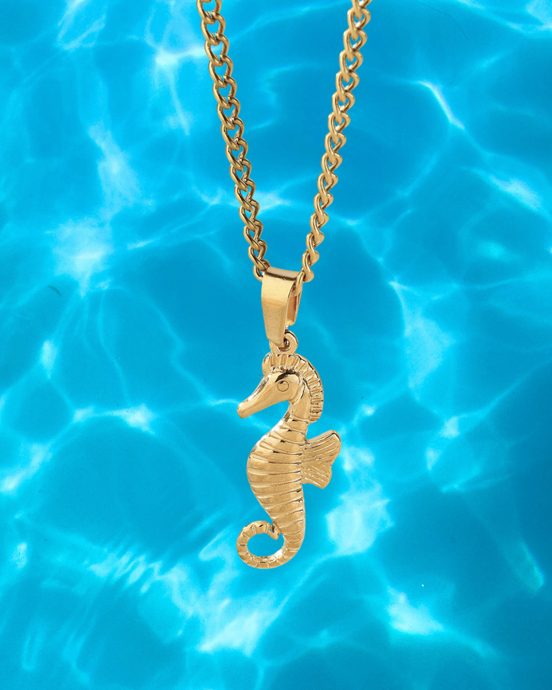 Seahorse Collar