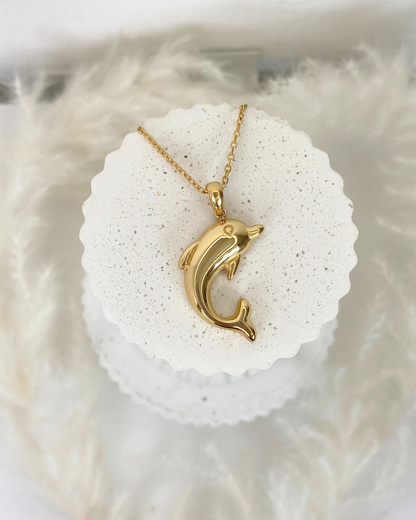 Dolphin Collar
