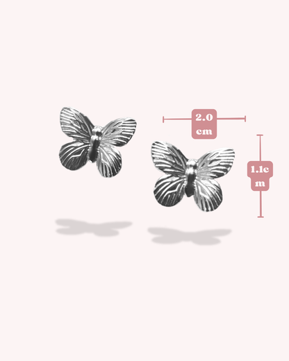 Aretes Fly