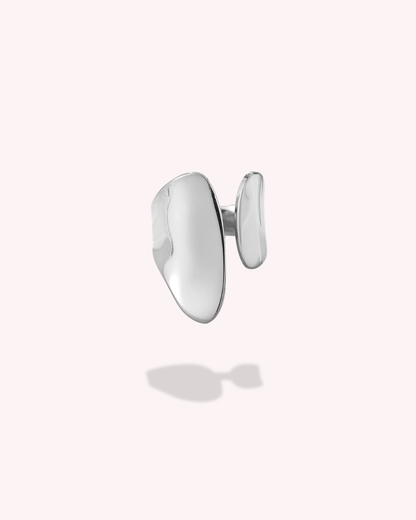 Anillo Dual