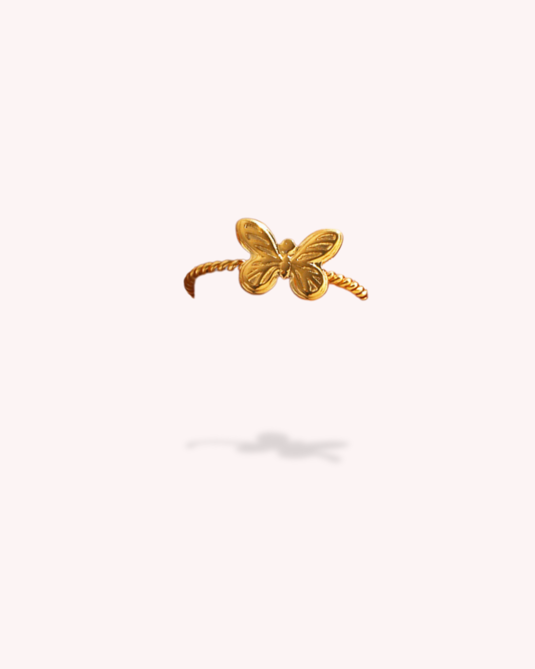 Anillo Flutter