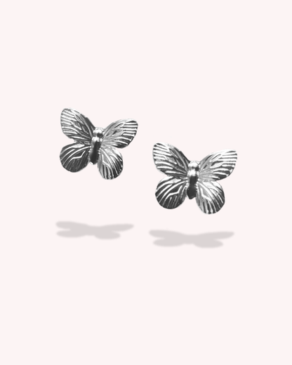 Aretes Fly